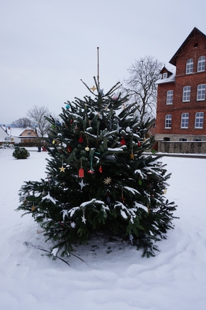 Weihnachtsbaum