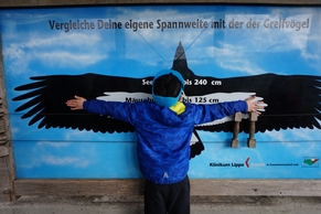 Adlerwarte