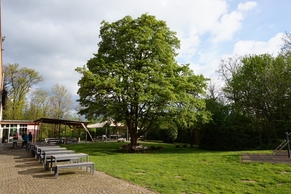Jugendherberge