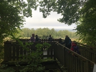 Im Wald