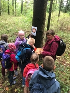 Verschiedene Baumarten